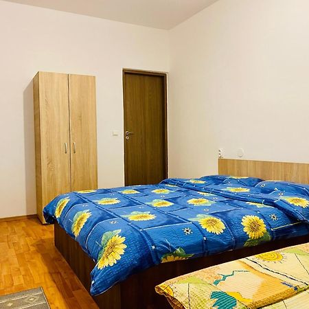 Casa Victoria Ξενοδοχείο Cîrţişoara Εξωτερικό φωτογραφία