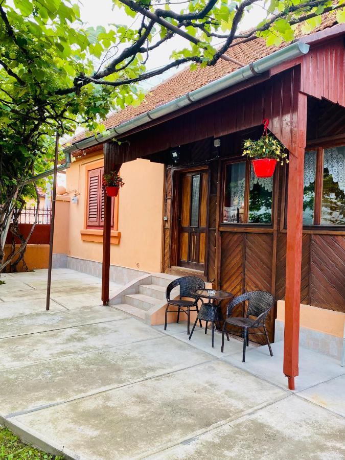 Casa Victoria Ξενοδοχείο Cîrţişoara Εξωτερικό φωτογραφία