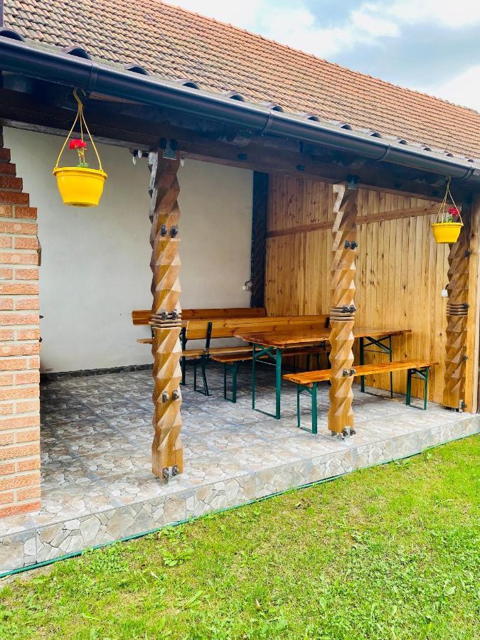 Casa Victoria Ξενοδοχείο Cîrţişoara Εξωτερικό φωτογραφία