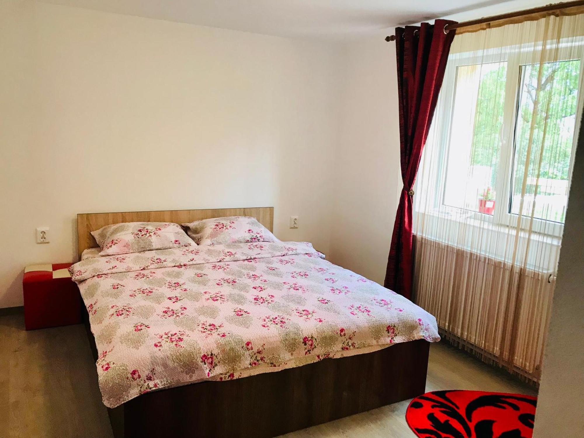Casa Victoria Ξενοδοχείο Cîrţişoara Εξωτερικό φωτογραφία