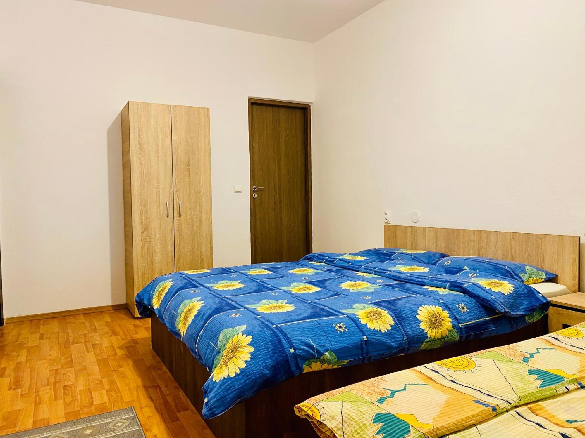 Casa Victoria Ξενοδοχείο Cîrţişoara Εξωτερικό φωτογραφία