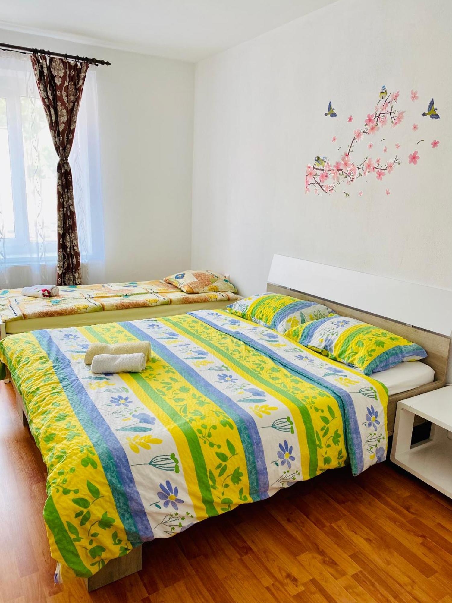 Casa Victoria Ξενοδοχείο Cîrţişoara Εξωτερικό φωτογραφία