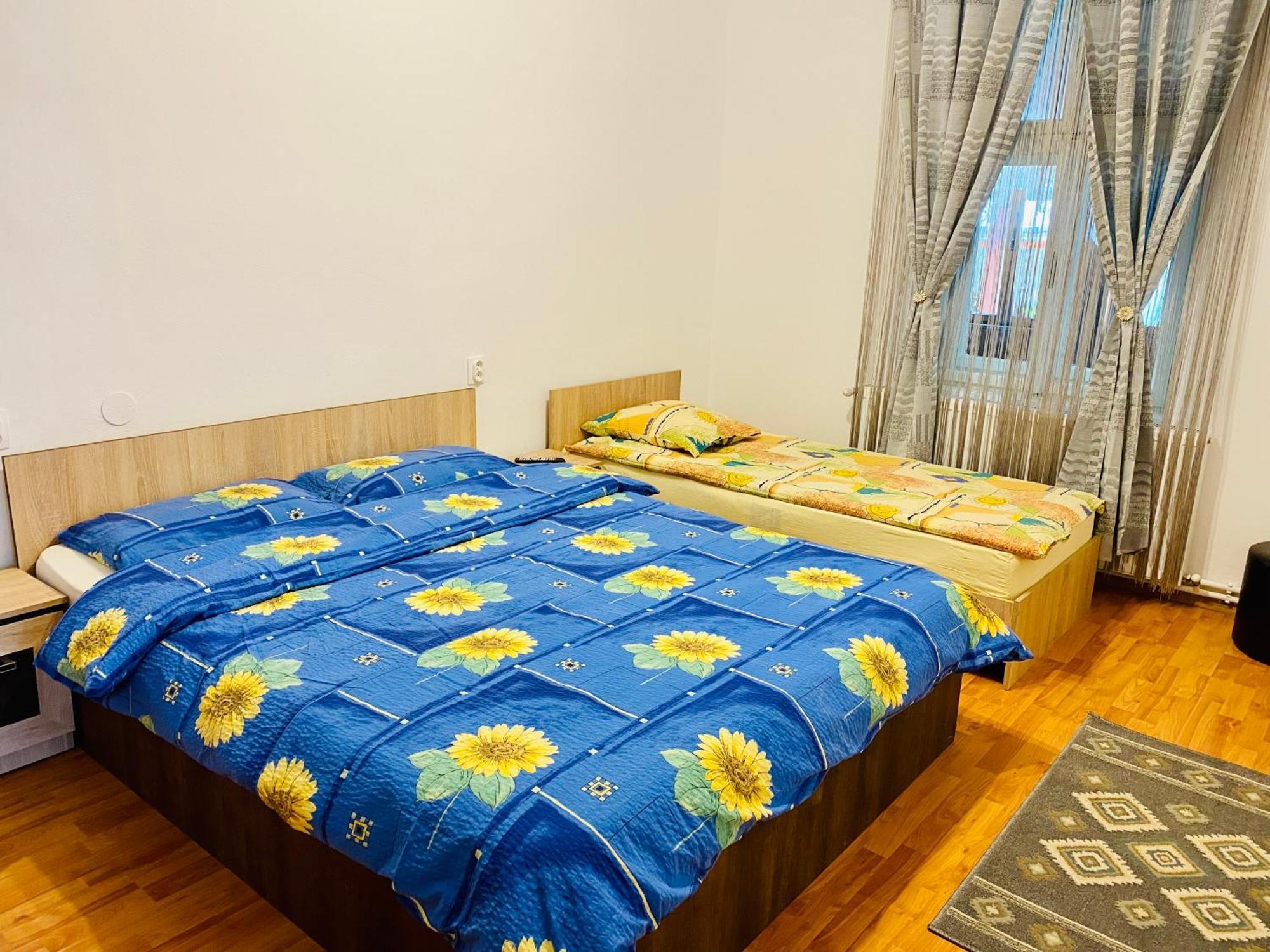 Casa Victoria Ξενοδοχείο Cîrţişoara Εξωτερικό φωτογραφία