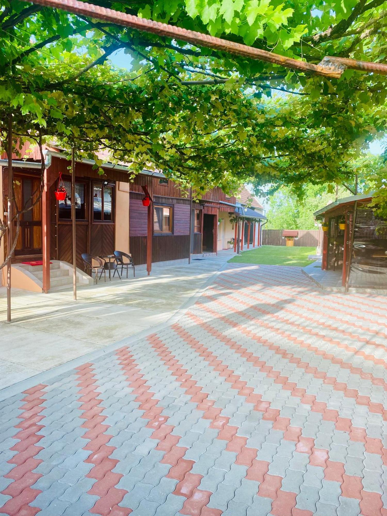 Casa Victoria Ξενοδοχείο Cîrţişoara Εξωτερικό φωτογραφία